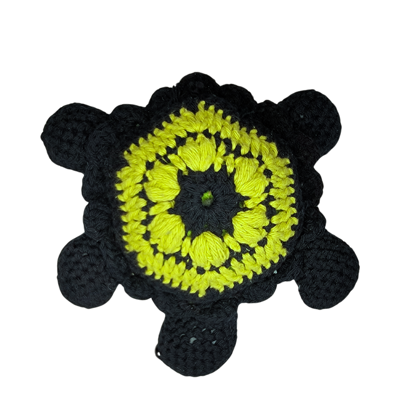 Black and Green African Flower Turtle